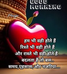 Mohd shafiq, 46 years old, Man, Bilimora, India