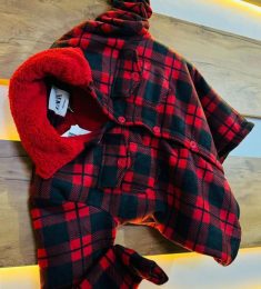 Tehseem Shaikh, 39 years old, Man, Mumbai, India