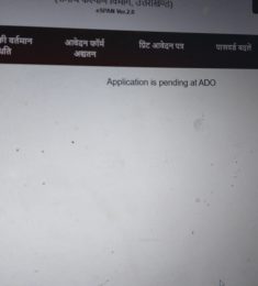 yesji5930, 26 years old, Man, Almora, India